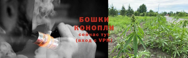 мдпв Верхний Тагил
