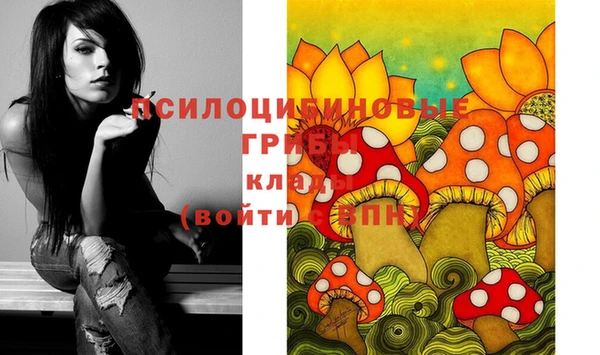 мдпв Верхний Тагил