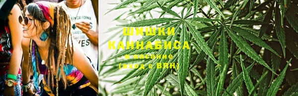 мдпв Верхний Тагил