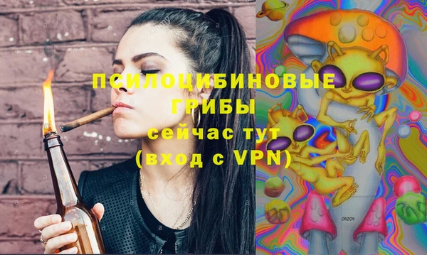спайс Верея